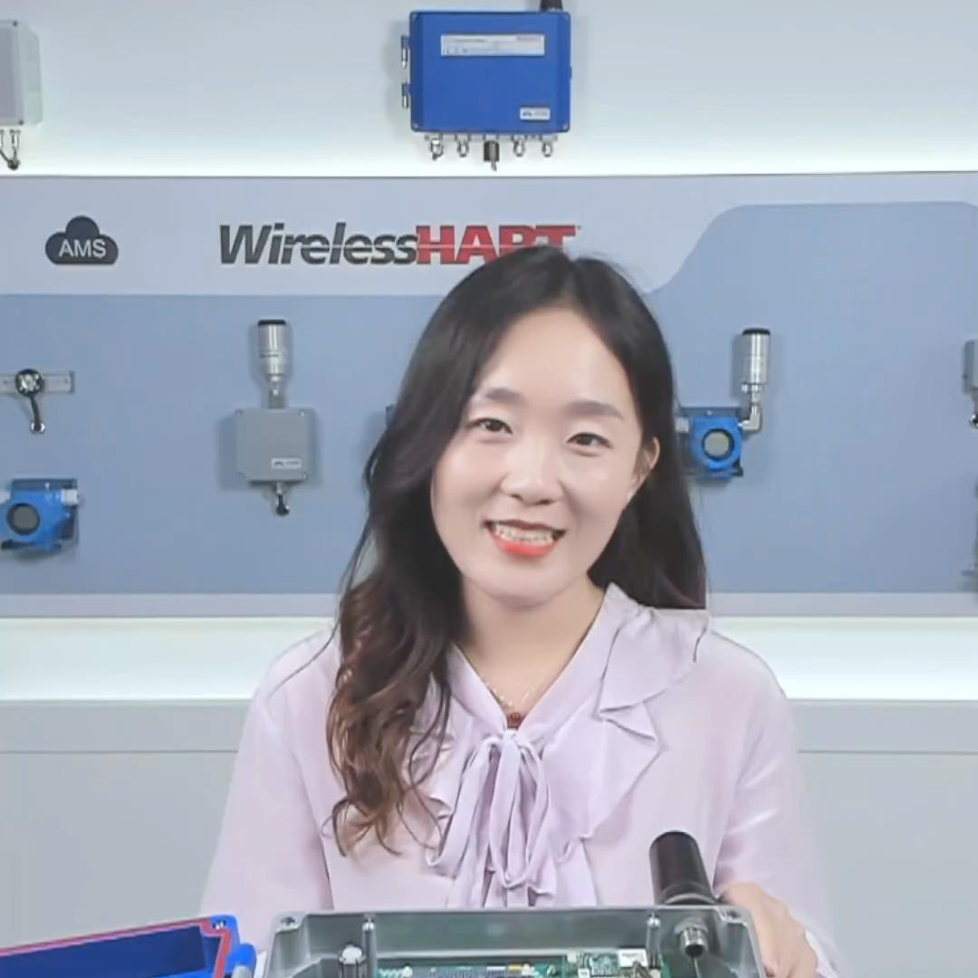 G1100 WirelessHART 智能無(wú)線網(wǎng)關(guān)