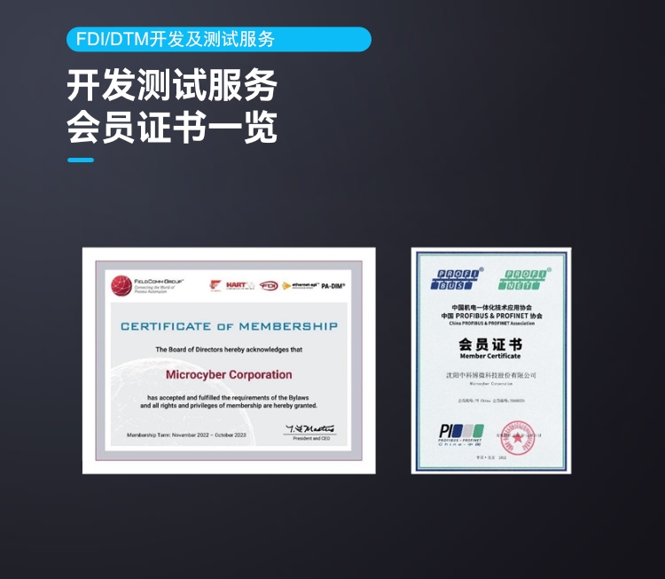 FDI/DTM 開發(fā)及測(cè)試服務(wù).png